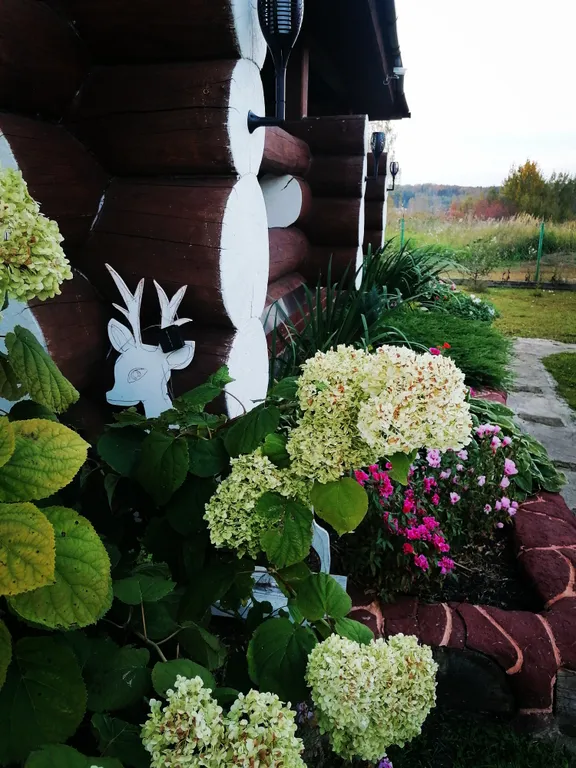 Загородный дом вдали от города