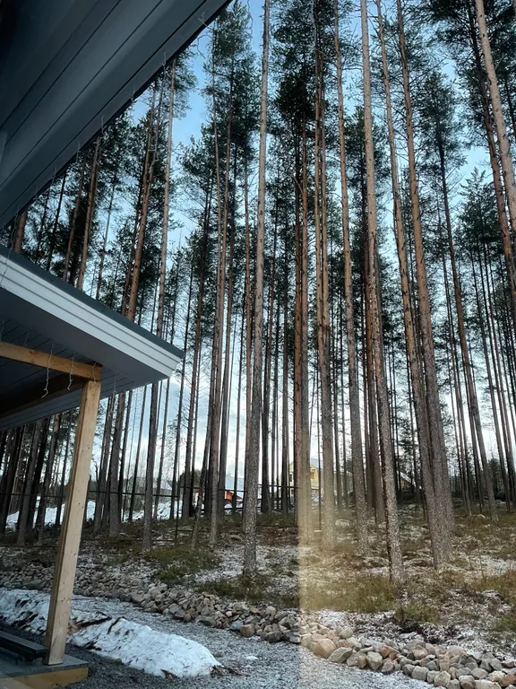 Уютный дом с живописным видом на лес