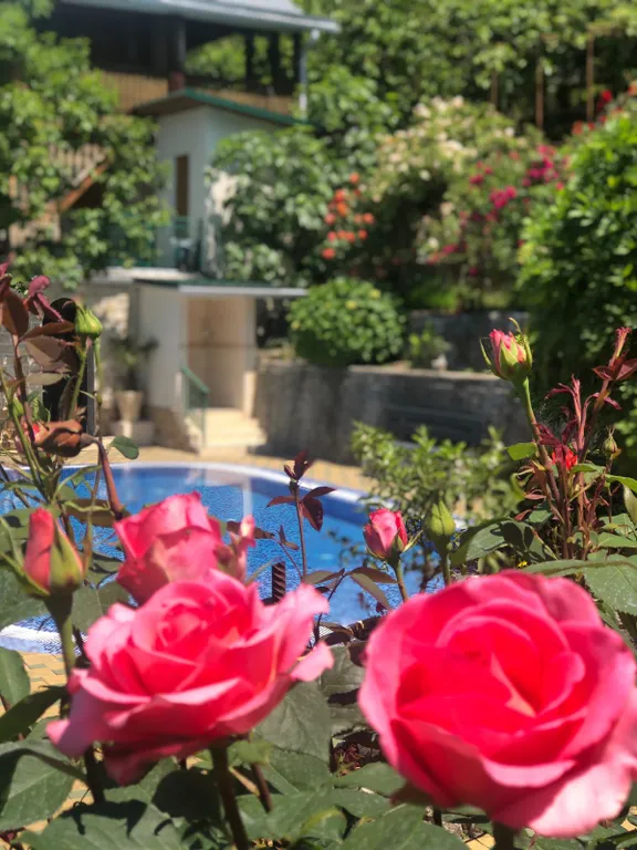 Дом с бассейном у моря участок - 24 сотки райского сада