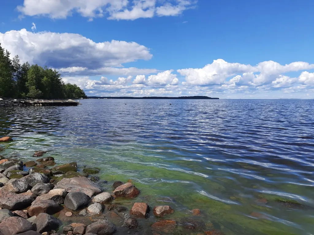 Дом на Сямозере у пляжа 1