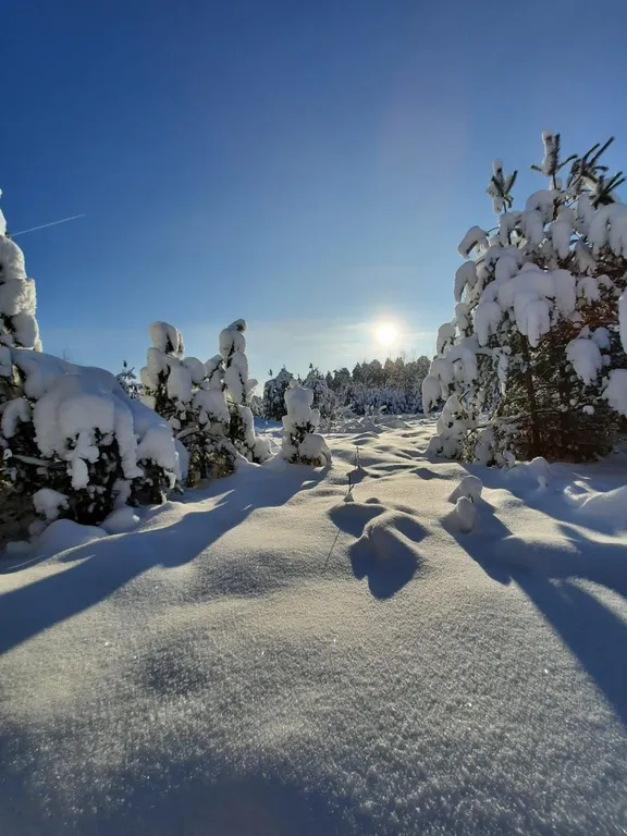 Двухэтажный коттедж Хануман