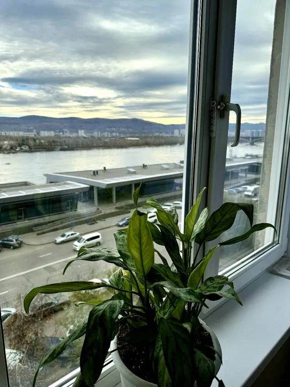 Уютная, тихая, атмосферная квартира с видом на Енисей