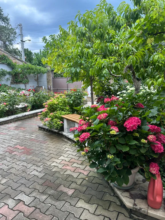 Квартира Гортензия — аренда посуточно в Феодосия