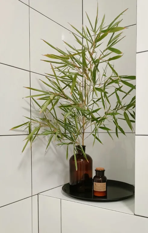 Квартира Уютная квартира рядом с парком Херсонес — Севастополь