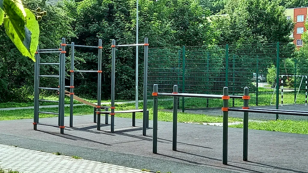 Подсолнух у моря