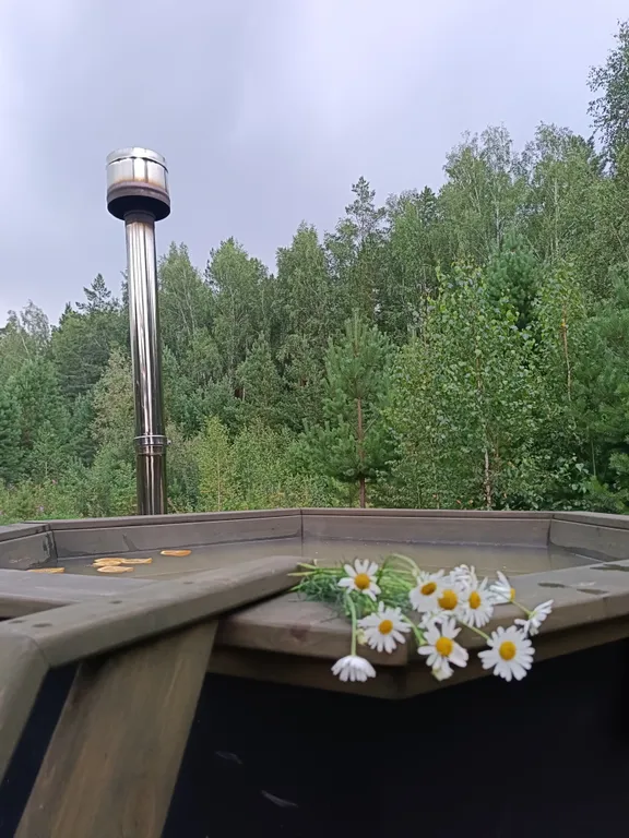 Темный домик на опушке леса