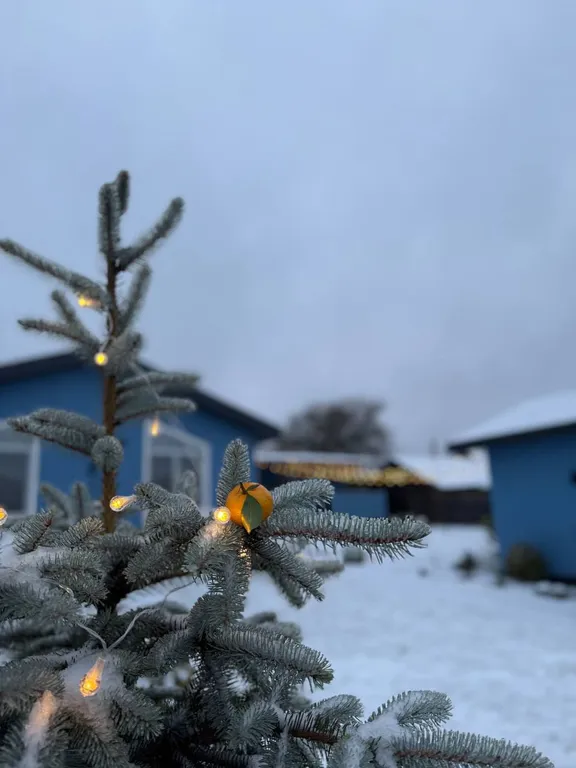 Коттедж 1-комнатный Дом — аренда посуточно в Пушкинские Горы