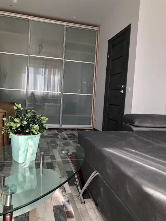 Уютная однокомнатная квартира у кафе