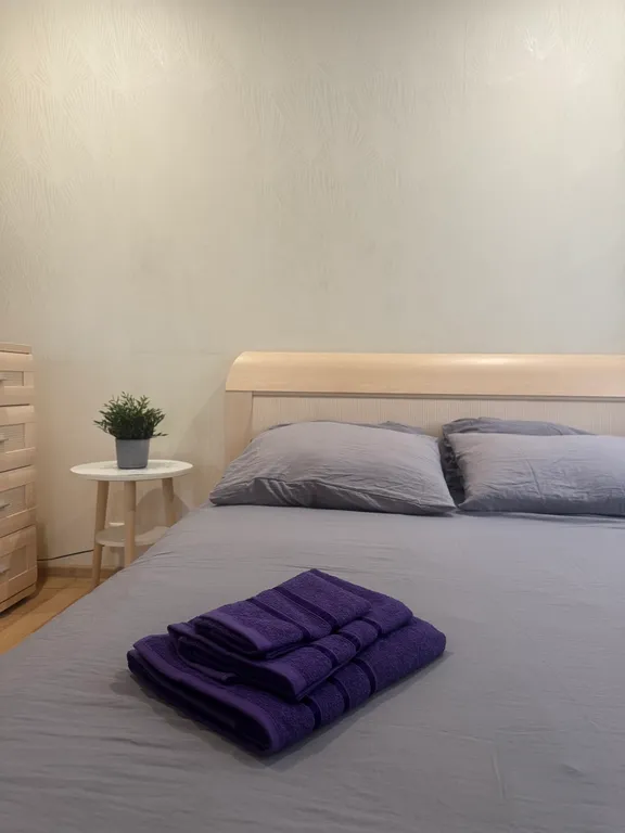 Квартира в центре города с комфортом