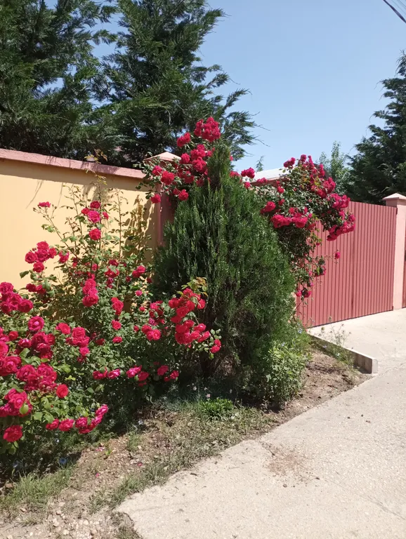 Двухместный номер улучшенный с кухней