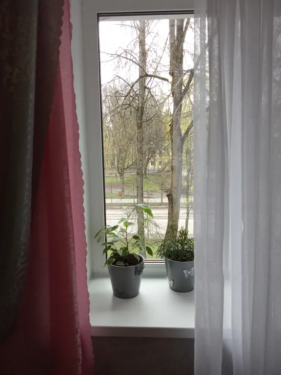 Квартира Квартира с видом на Кремль — Великий Новгород