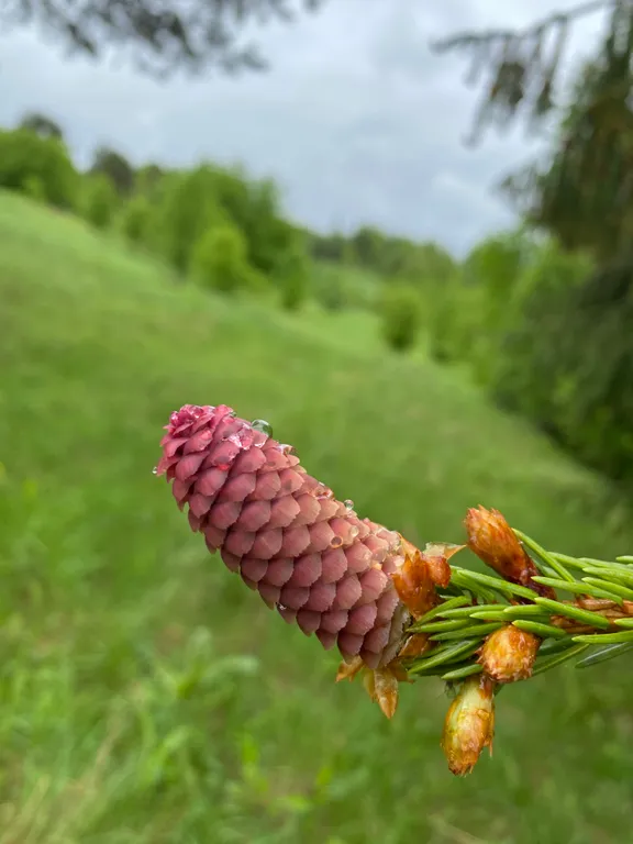 Дом на холме