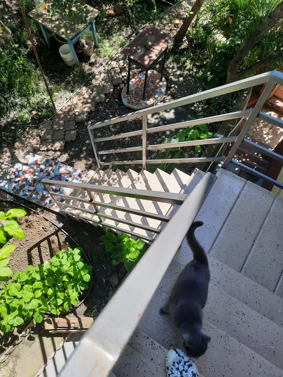 На Ландышевой