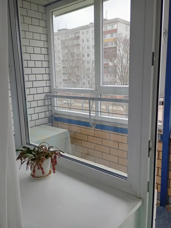 Квартира около зоопарка Лимпопо