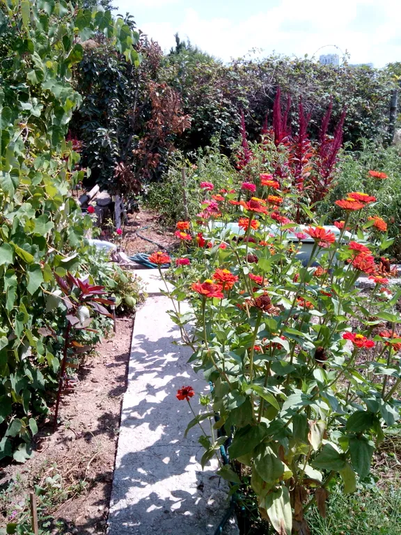 Коттедж Домик у моря в Севастополе — Севастополь