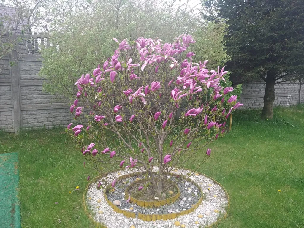 Дом на побережье