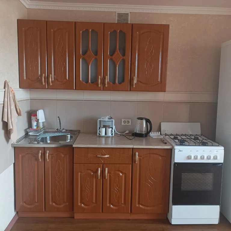 Большая и просторная 1-комнатная квартира