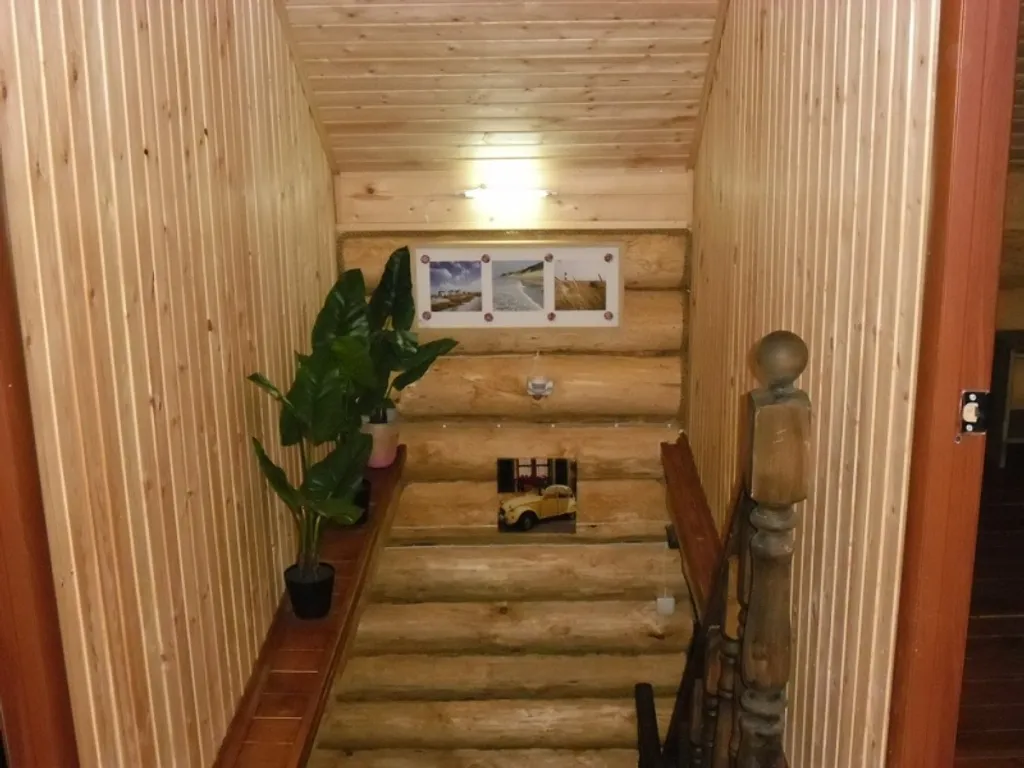 Эко дом в лесу