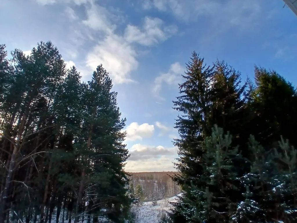 Поместье Сытый Лось с шикарным видом на Долину