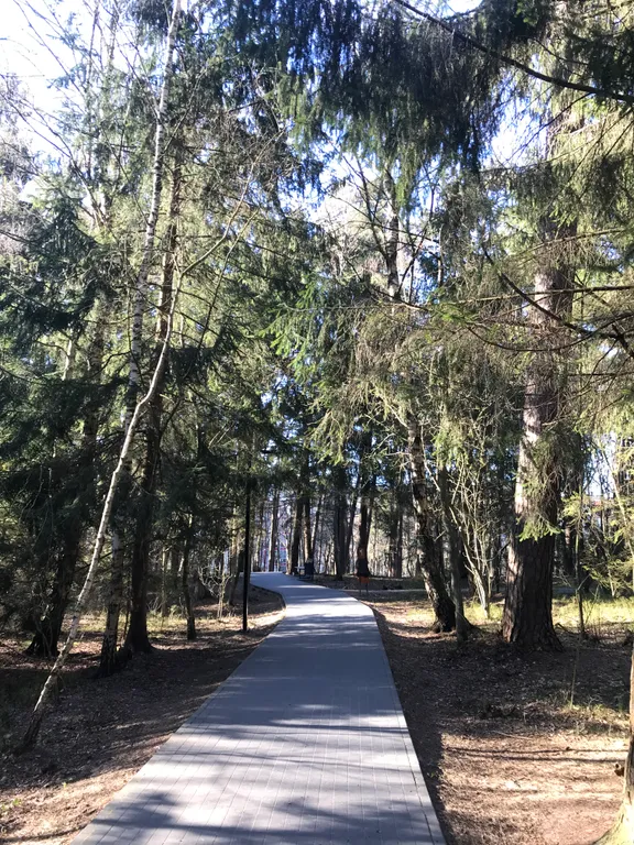 Апартаменты с видом на лес