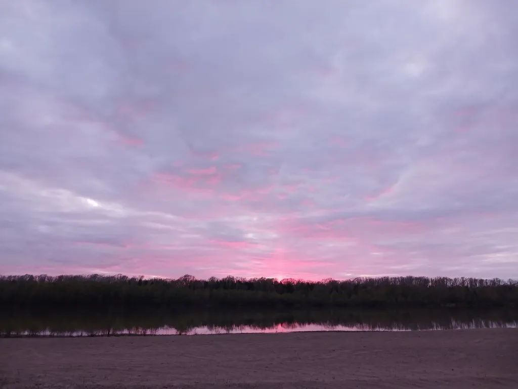 Гостевая часть дома в сосновом бору у реки