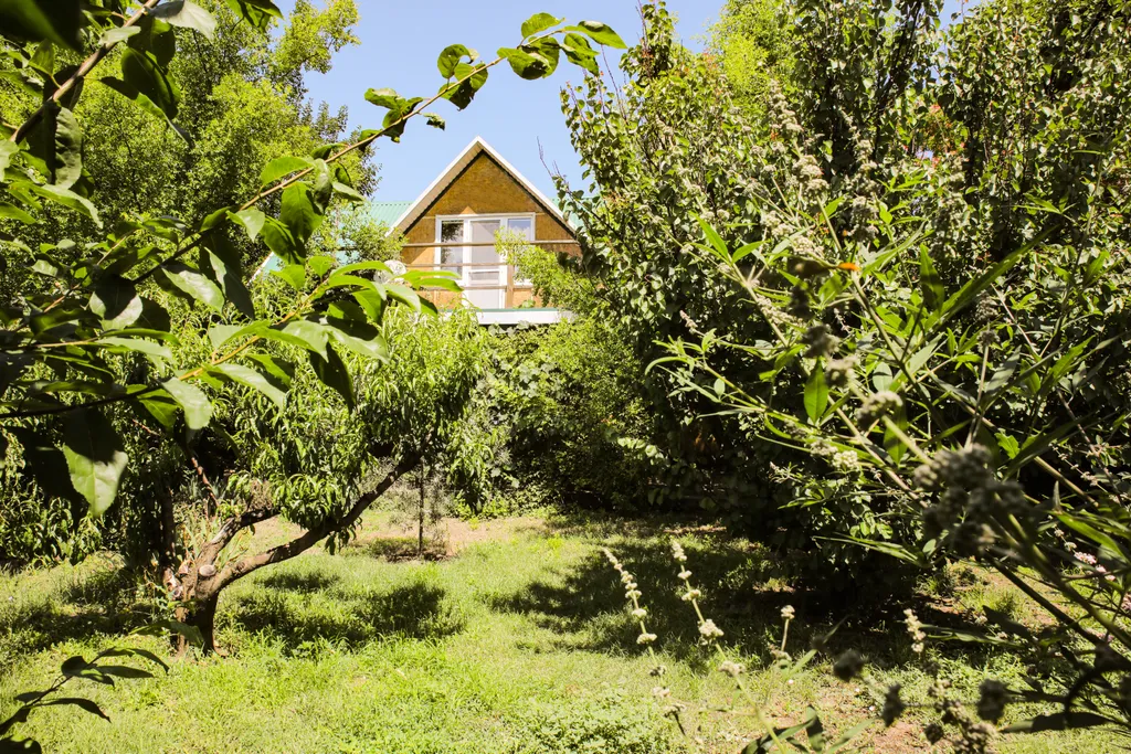 Коттедж Аутентичный, уютный дом меж двух морей — Сенной