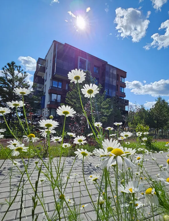 Апартамент Карельская сказка у речки в центре города