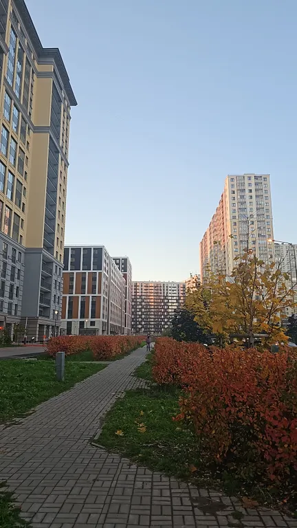 Студия в ЖК Цивилизация на Неве на Октябрьской набережной