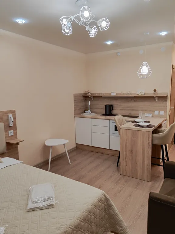 Современная квартира - студия с видом на новый мост