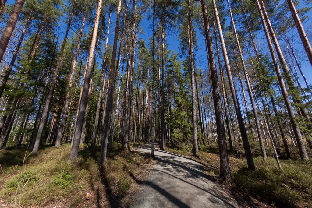 Просторная квартира в эко районе