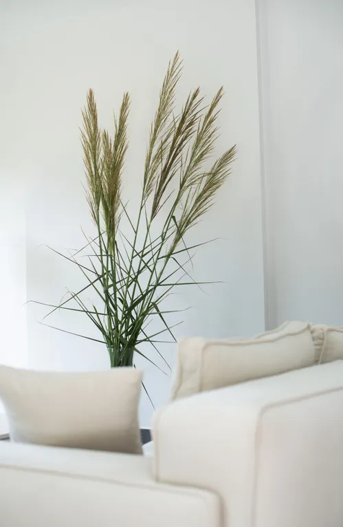 Luxury Villa with Pool and Sauna in Belek