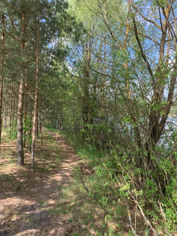 Уютный дом у леса и озера