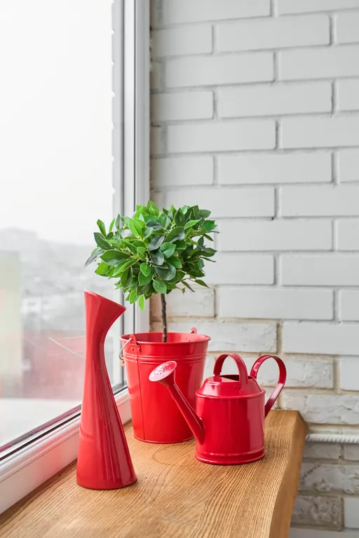 Люкс в центре Ростова