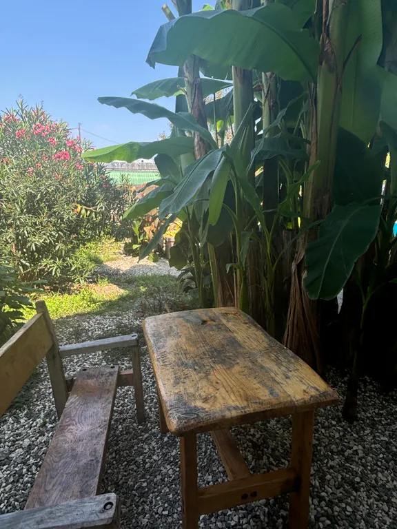 Квартира Двухместный номер стандарт на 1 этаже с отдельным входом и собственным — Сухум