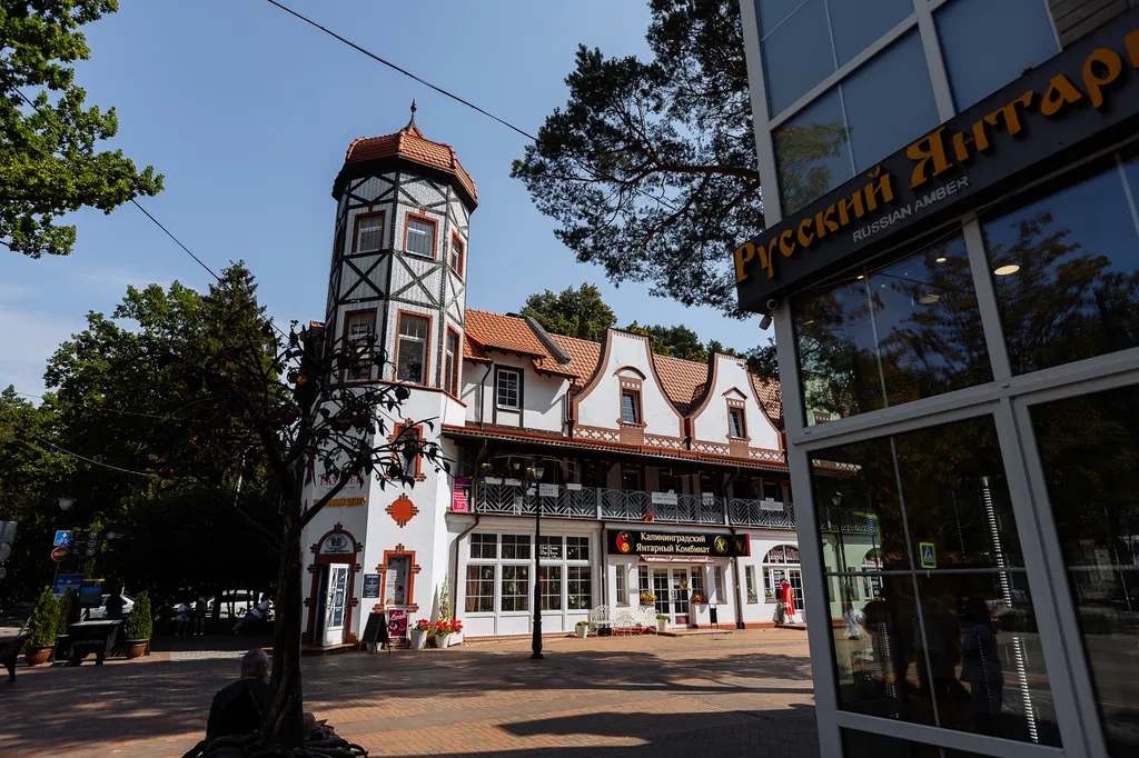 Квартира Квартира Апартамент Alt-platz — Светлогорск