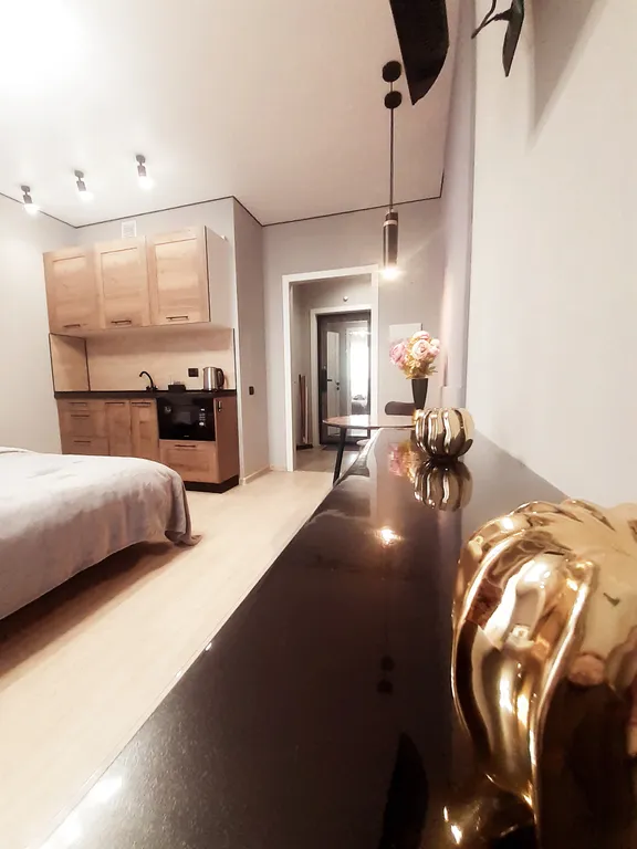 Квартира Комната с шикарным видом — Санкт-Петербург