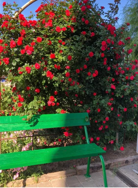 Квартира Солнечные апартаменты — Анапа