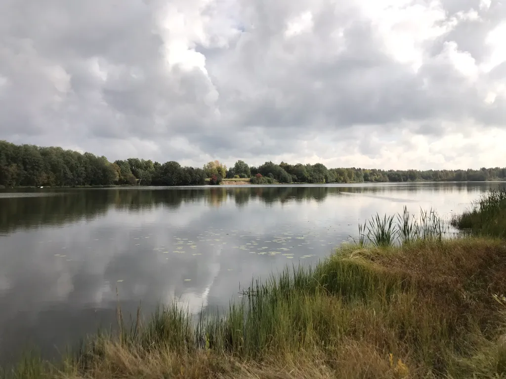 Дачный домик