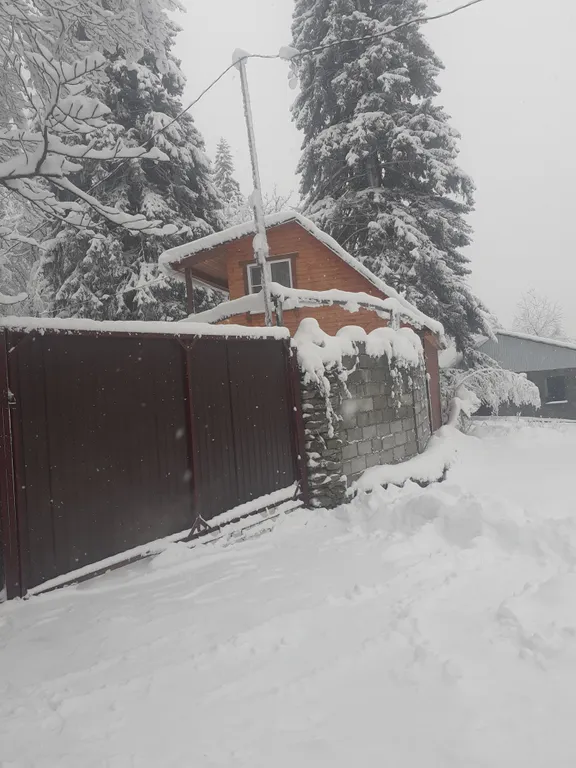 Новый дом в лесу Хатипара