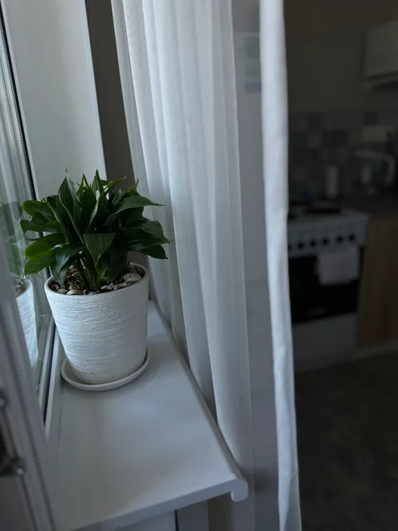 Уютная квартира ЖК Сокол