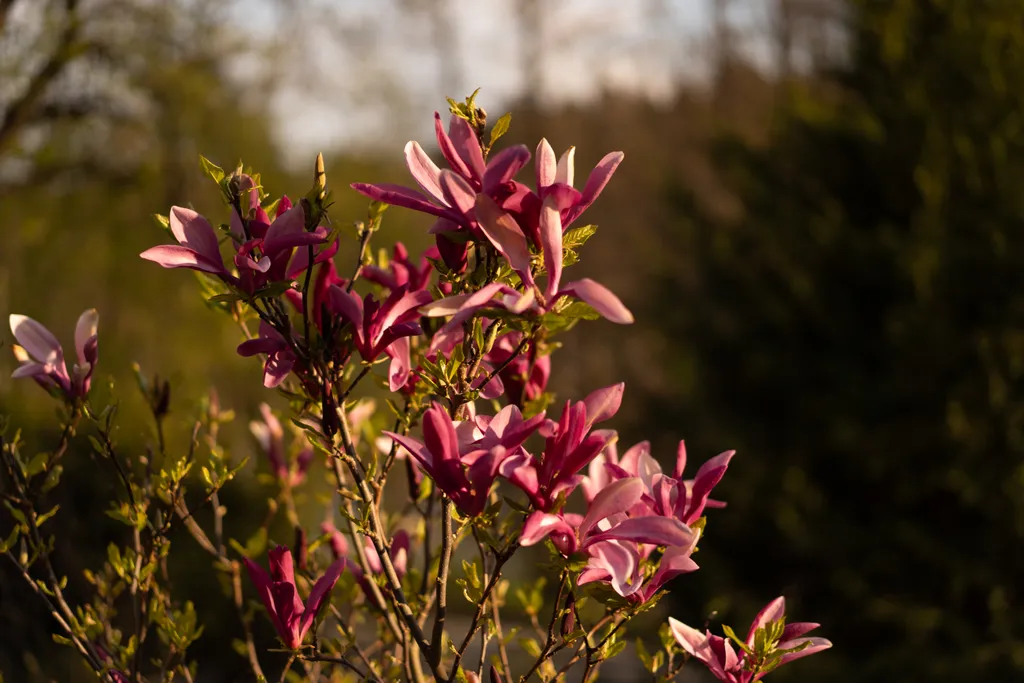 Особняк на берегу Тихого озера