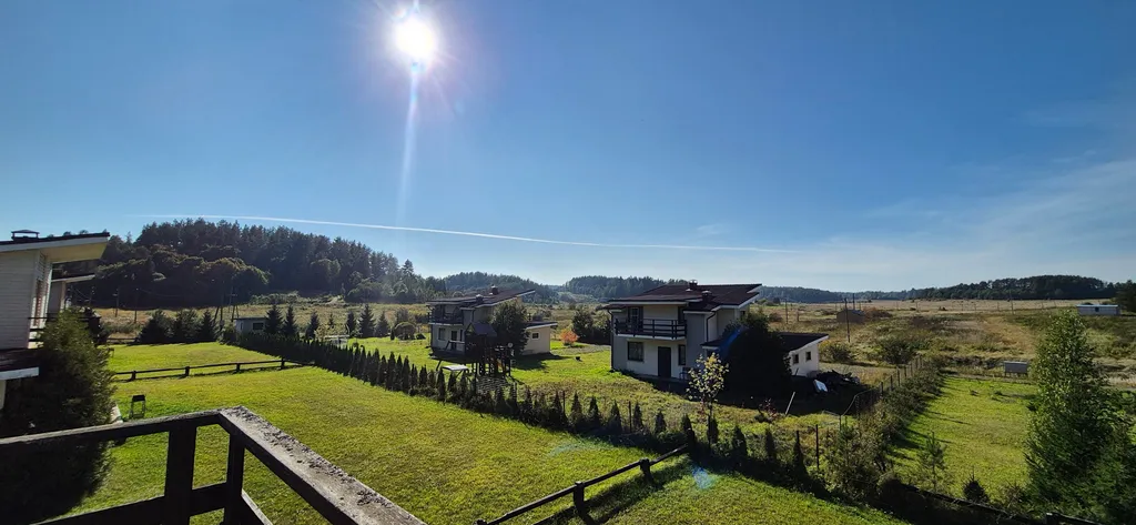 Куркиёки у леса