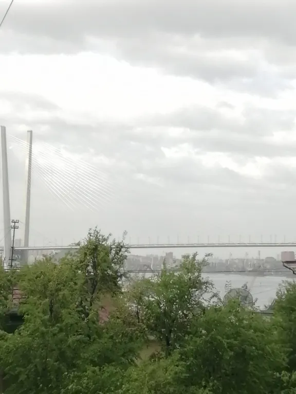 Квартира Уютная, чистая квартира в центральной части города — Владивосток