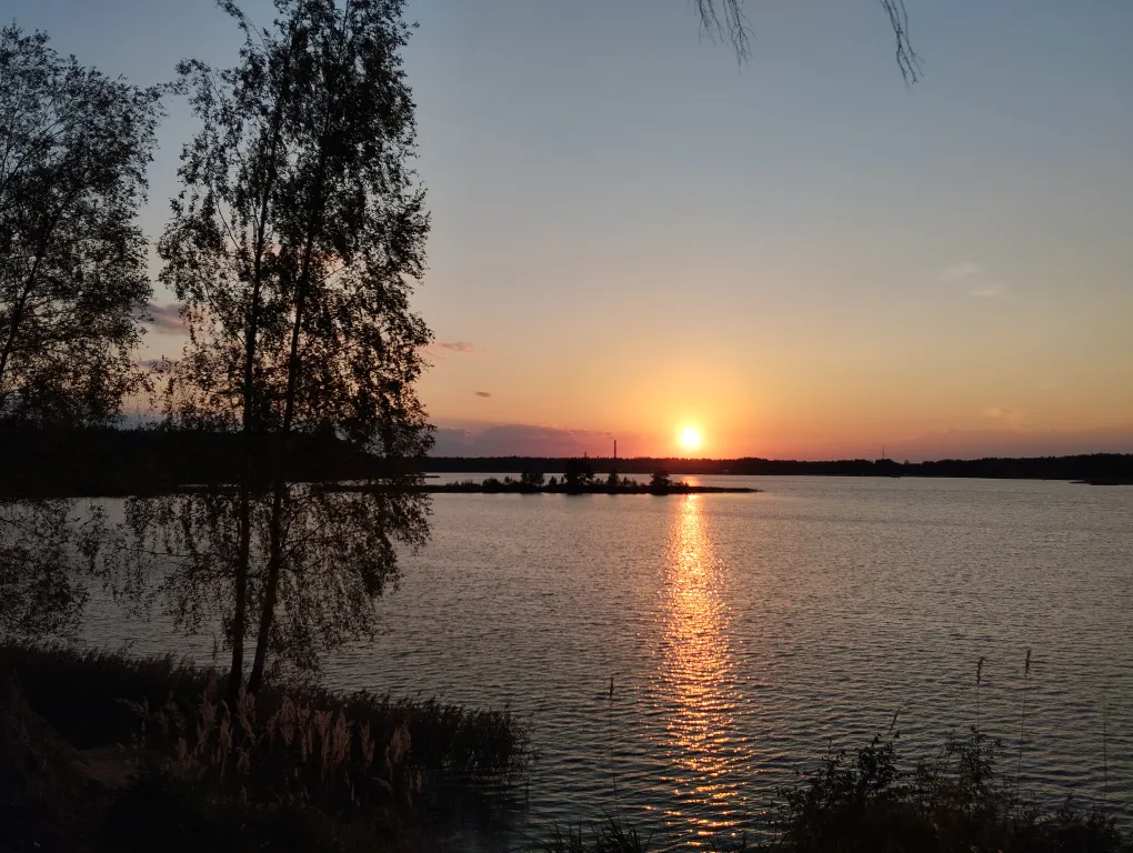 Дом в сосновом бору на озере