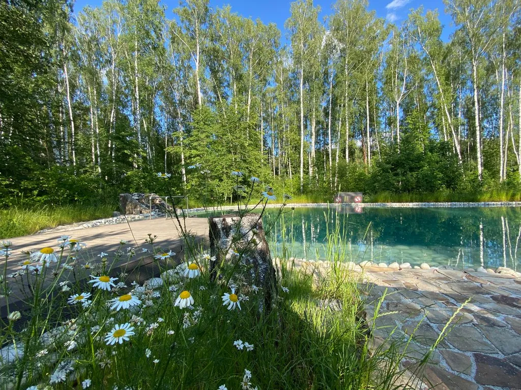Домик ЕЖЕВИКА. Большой пруд с пляжем в глэмпинге "Усадьба Ягодное".
