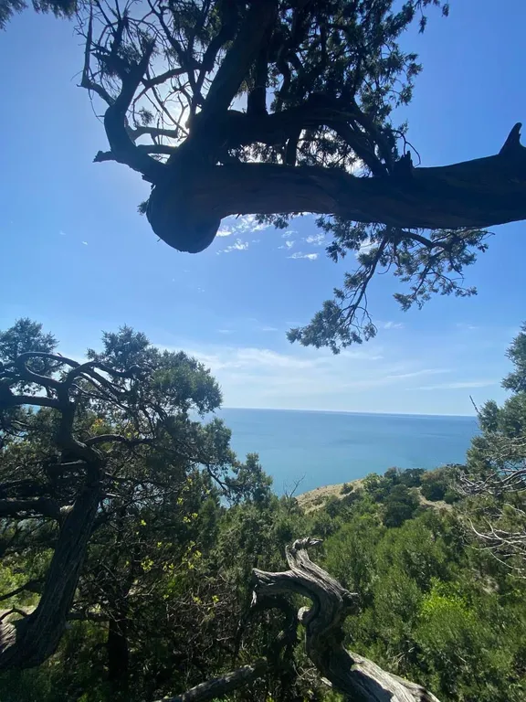 Квартира Квартира Стильная уютная студия — Анапа