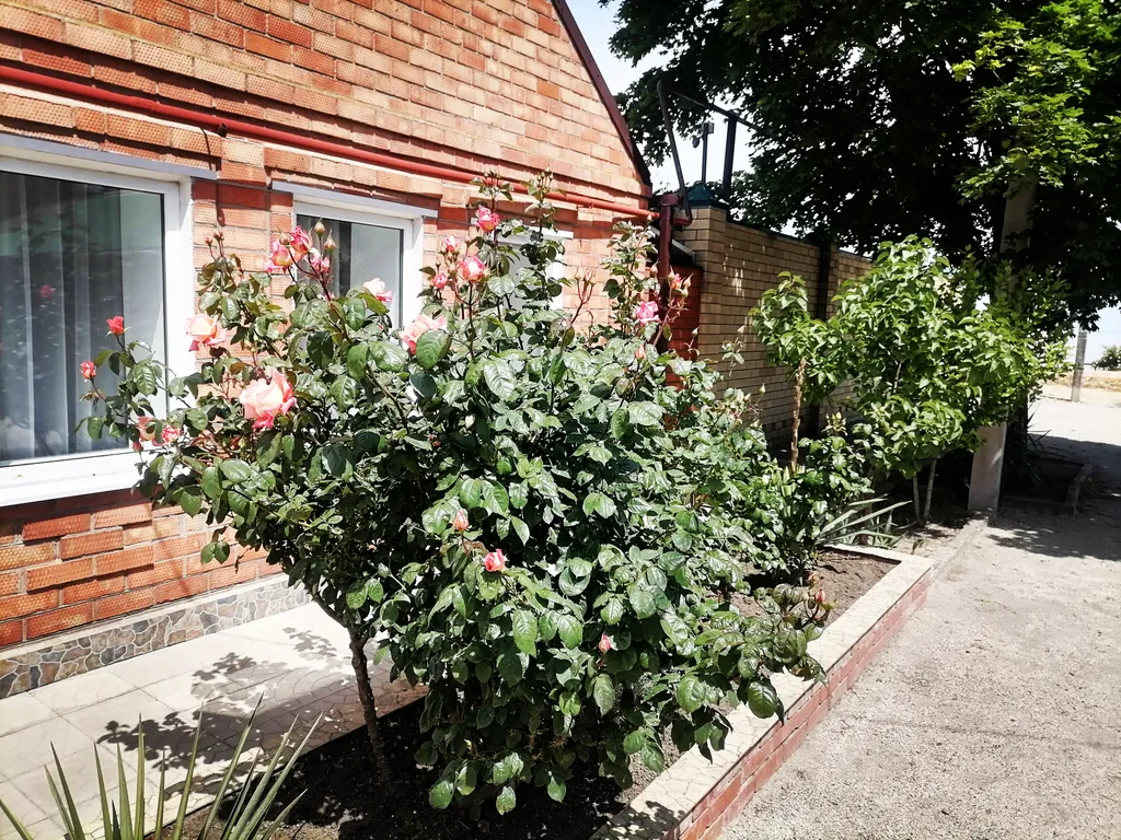 Коттедж Летний домик — Ейск