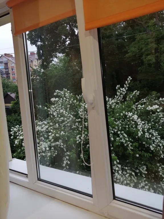 Жемчужинка у моря