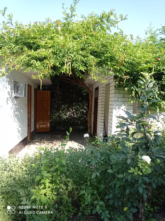 Уютный дворик