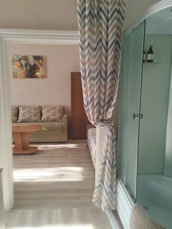 Квартира в историческом центре города